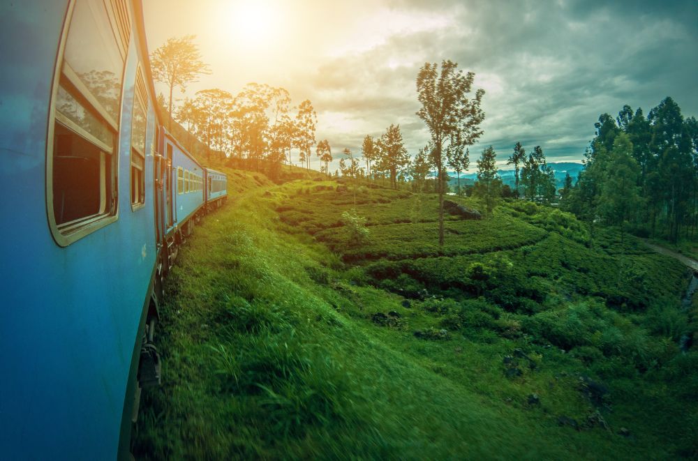 Train in Sri Lanka
